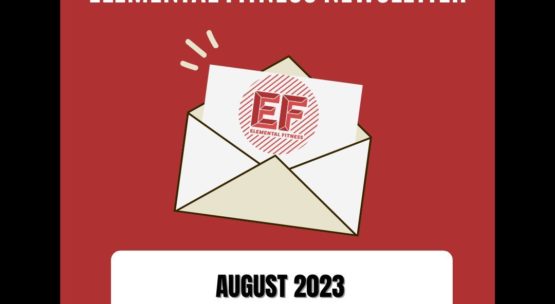 Newsletter: August 2023