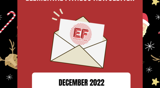 Newsletter: December 2022
