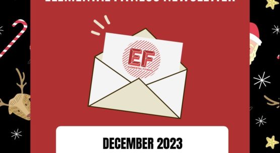 Newsletter: December 2023
