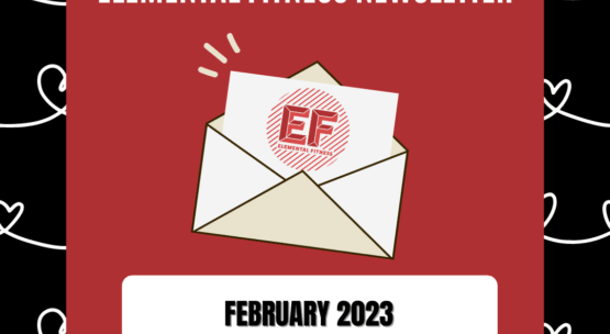 Newsletter: February 2023