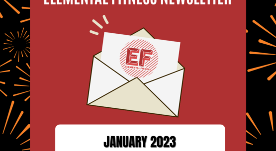 Newsletter: January 2023