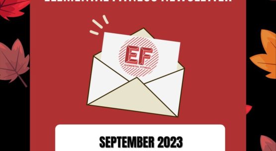 Newsletter: September 2023