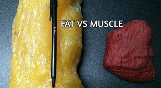 Misconceptions of Fat Loss 