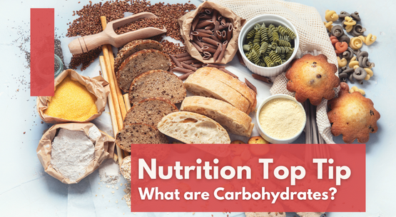 Understanding Carbohydrates: The Body's Energy Source
