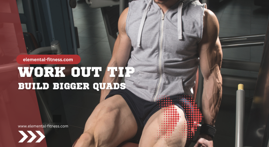 ​Building Stronger Quads: Our Guide