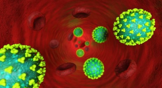 Coronavirus Update