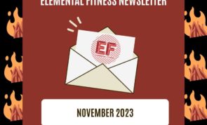 Newsletter: November 2023