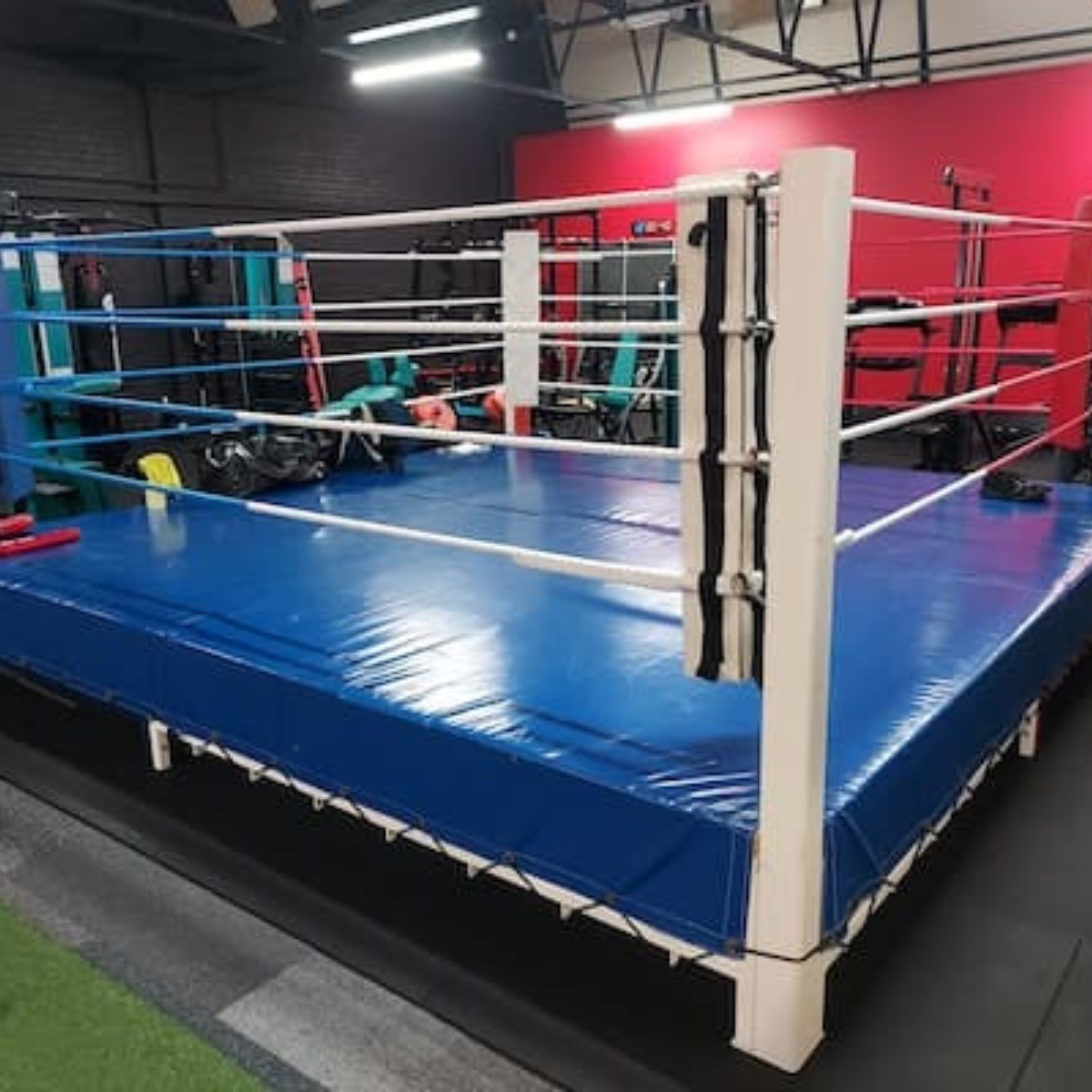 Premium Manufacturer of Martial arts & Boxing, MMA Equipments | STEDYX