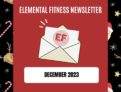Newsletter: December 2023