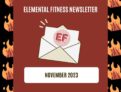 Newsletter: November 2023